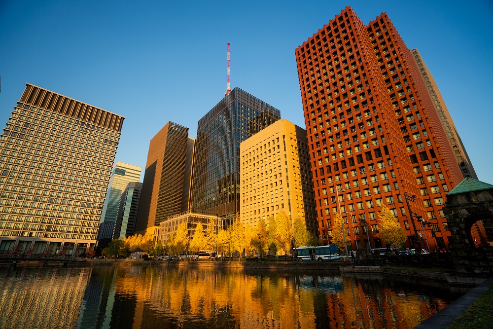 Sunshine Green Meadows
